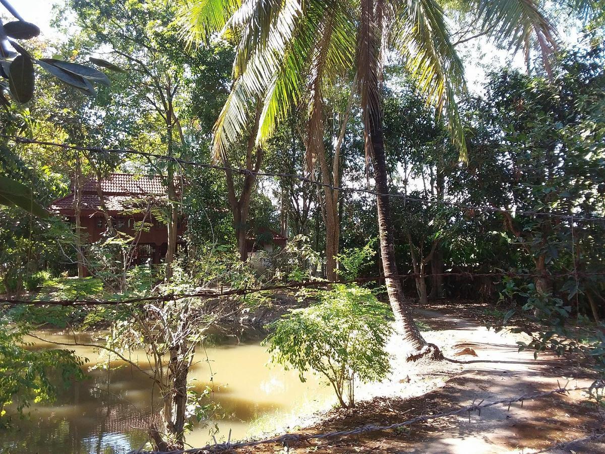 Your Home In Mae Rim Ban Muang Pha Luaran gambar