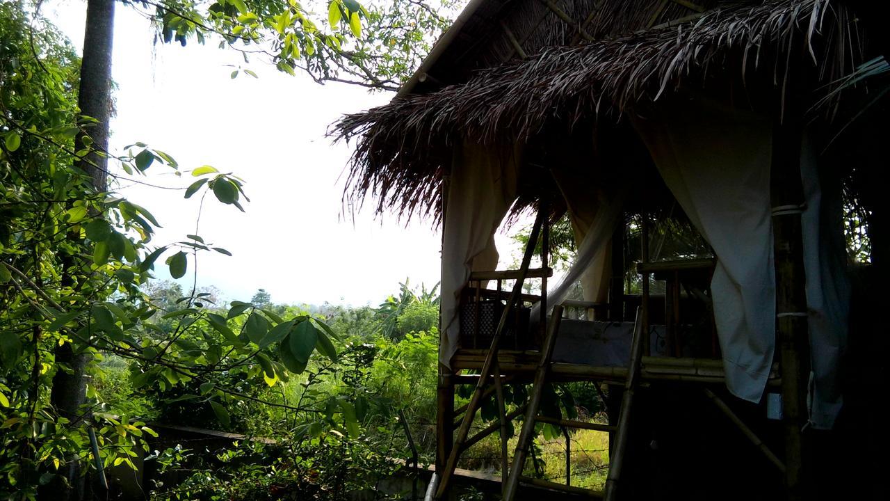 Your Home In Mae Rim Ban Muang Pha Luaran gambar