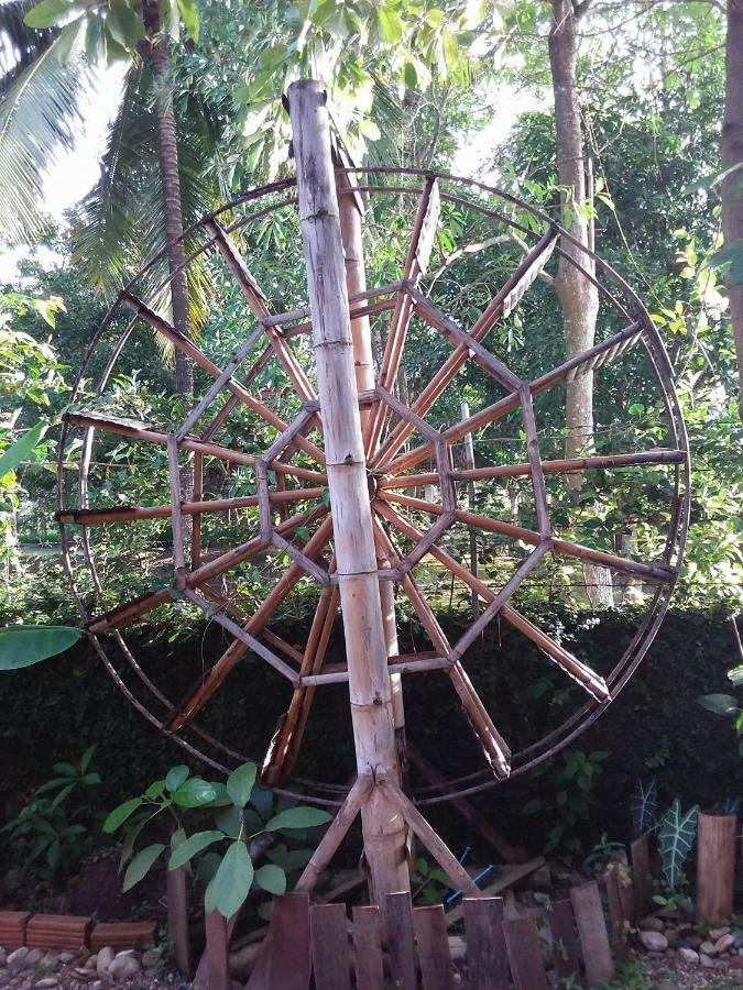 Your Home In Mae Rim Ban Muang Pha Luaran gambar